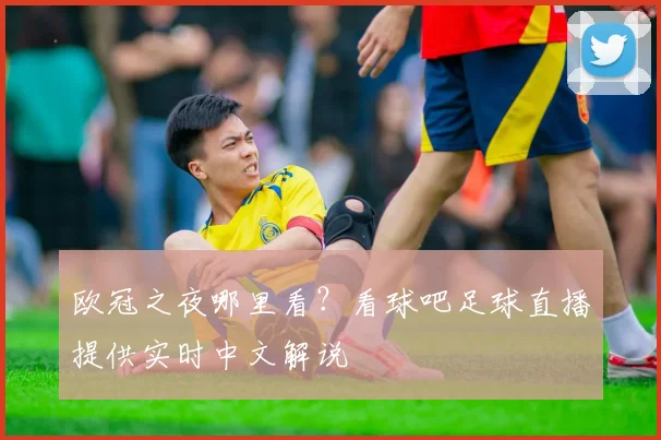 欧冠之夜哪里看？看球吧足球直播提供实时中文解说
